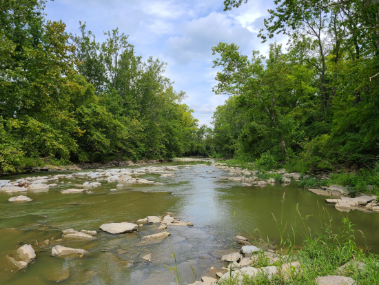 Four Mile Creek at the Davidson Woods Area of Four Mile Creek MetroPark