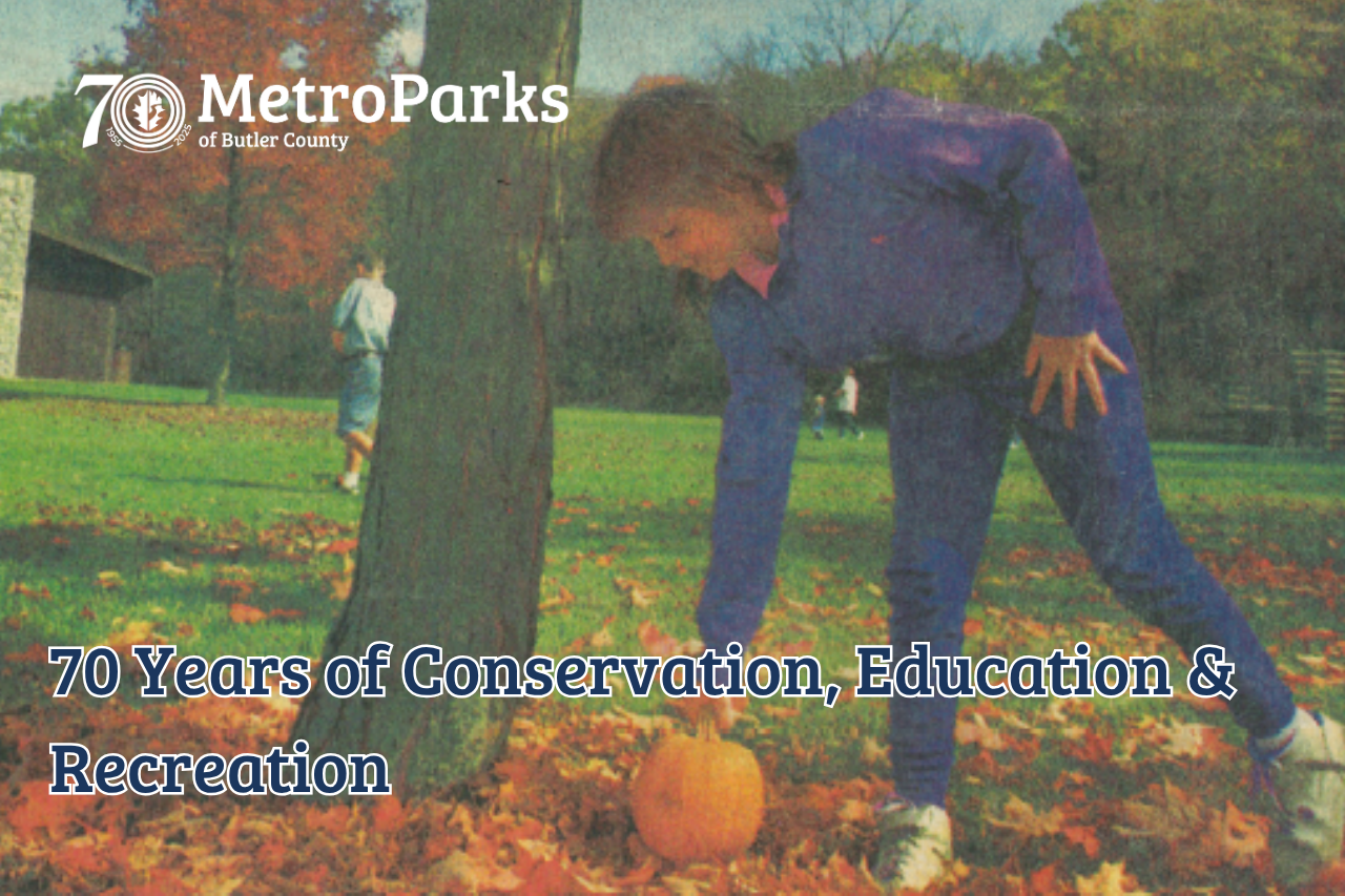 Pumpkin hunting at Sebald MetroPark Click to learn more about MetroParks' 70th anniversary