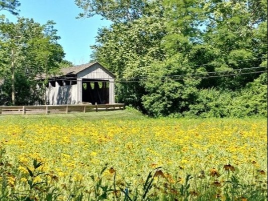 Bridge and Field at Mill Race